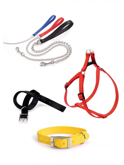 w-dogcat collars
